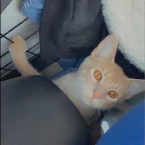 Meet your Posher, Kaylee